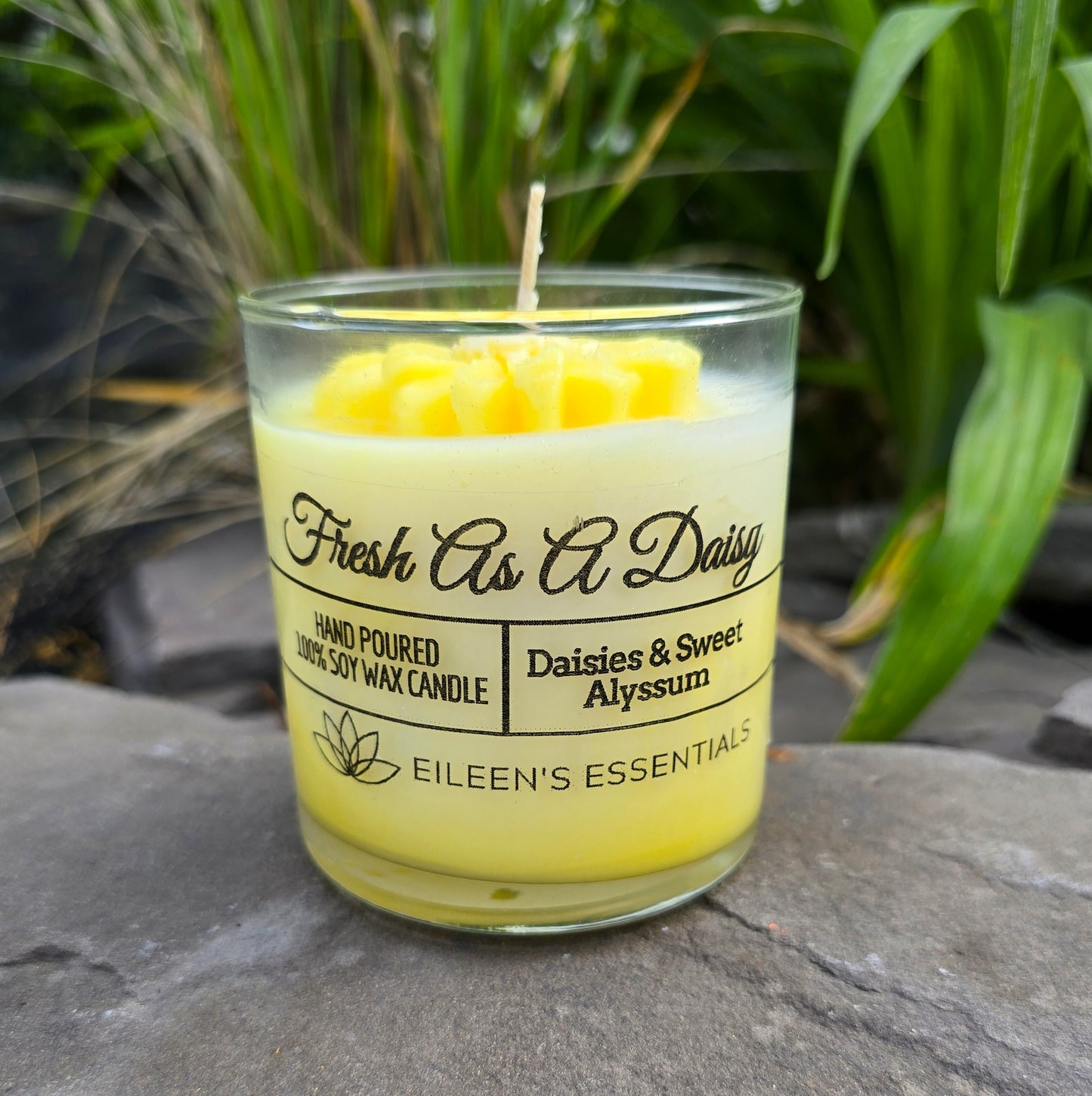 FLOWER CANDLES; Fresh As A Daisy (Multiple Colors)