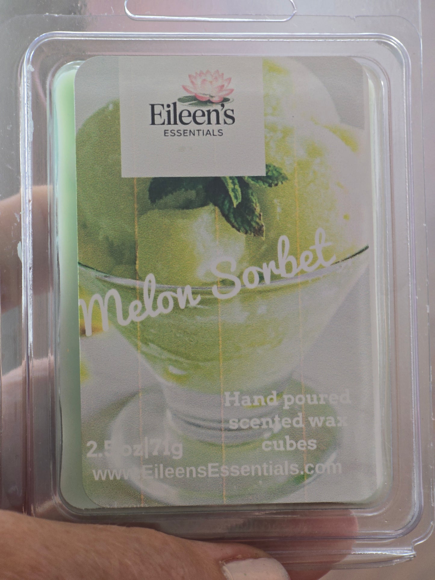 NEW Melon Sorbet Wax Melts