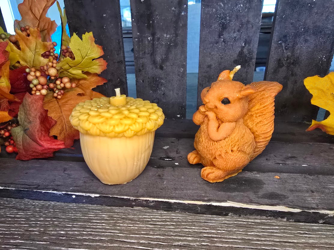 Squirrel and his Nut Candles