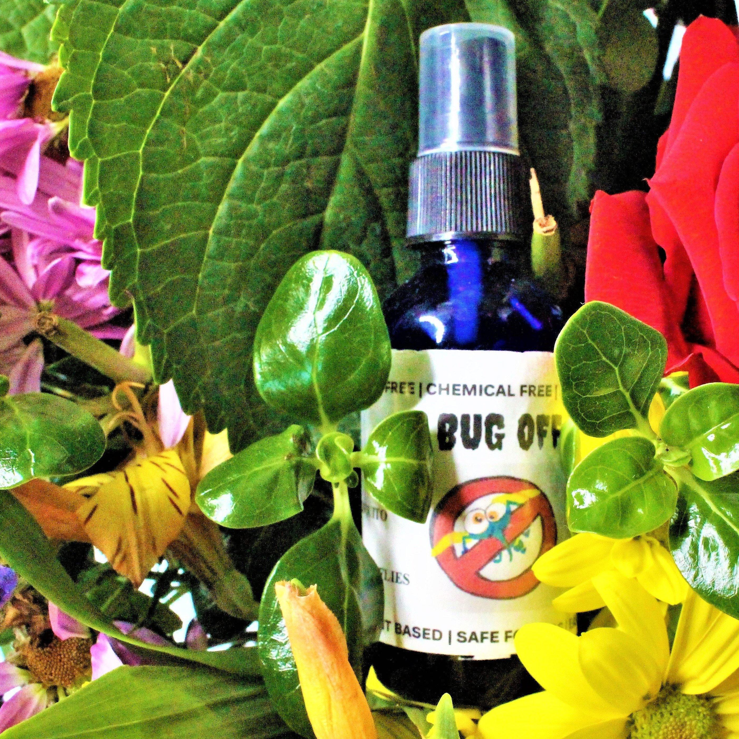 Bug and Disinfectant Sprays: Organic BUG OFF Spray - Eileen's Essentials