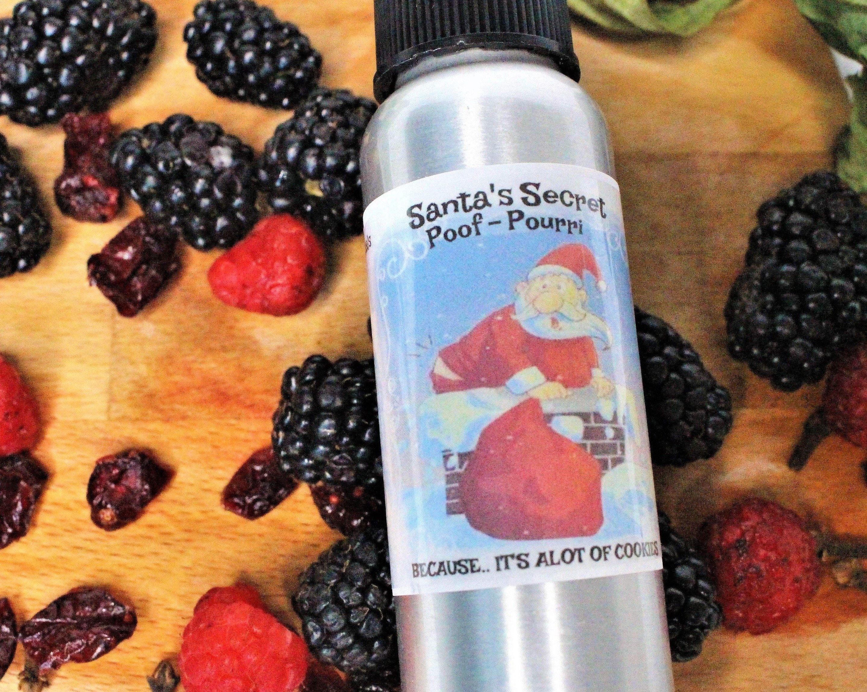 HOLIDAY; Santa's Secret Scent  Air- Freshener - Eileen's Essentials