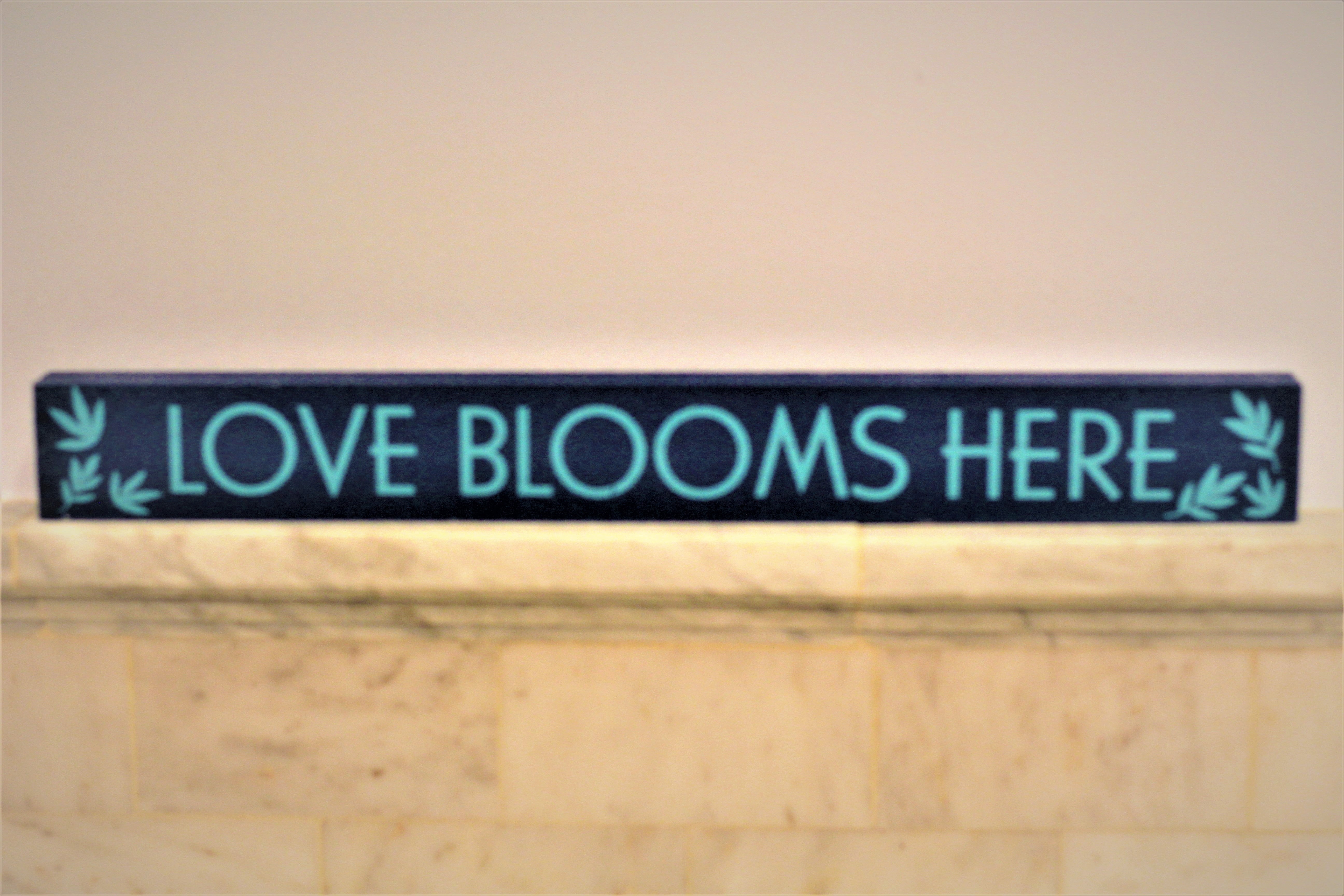 Inspirational Signs for Home