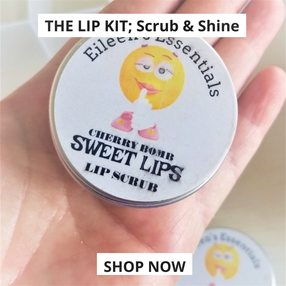 THE LIP KIT; Scrub & Shine