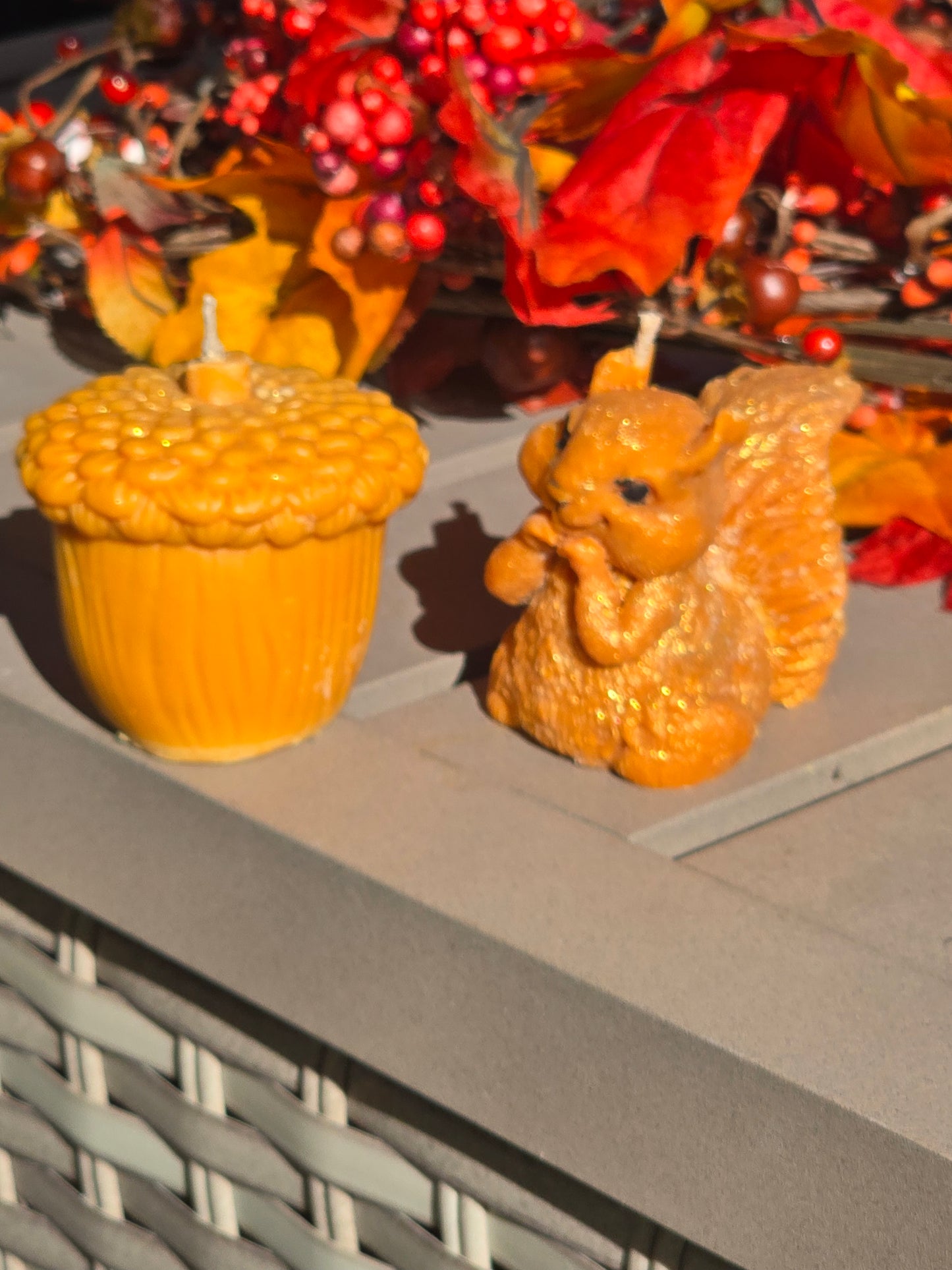 Squirrel and his Nut (Acorn/Pinecone) Candles