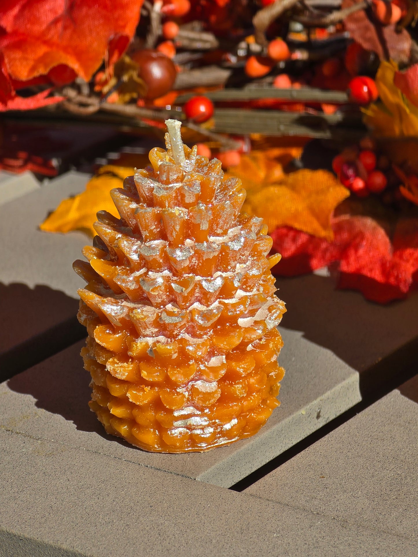 Pinecone Nut Candle