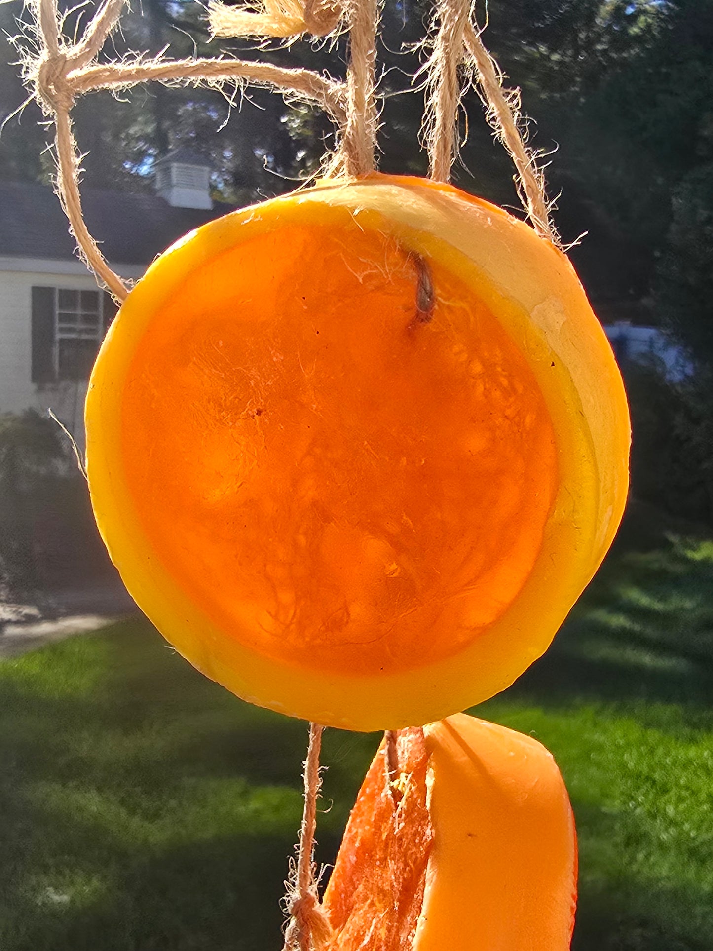 Exfoliating Loofah Soap