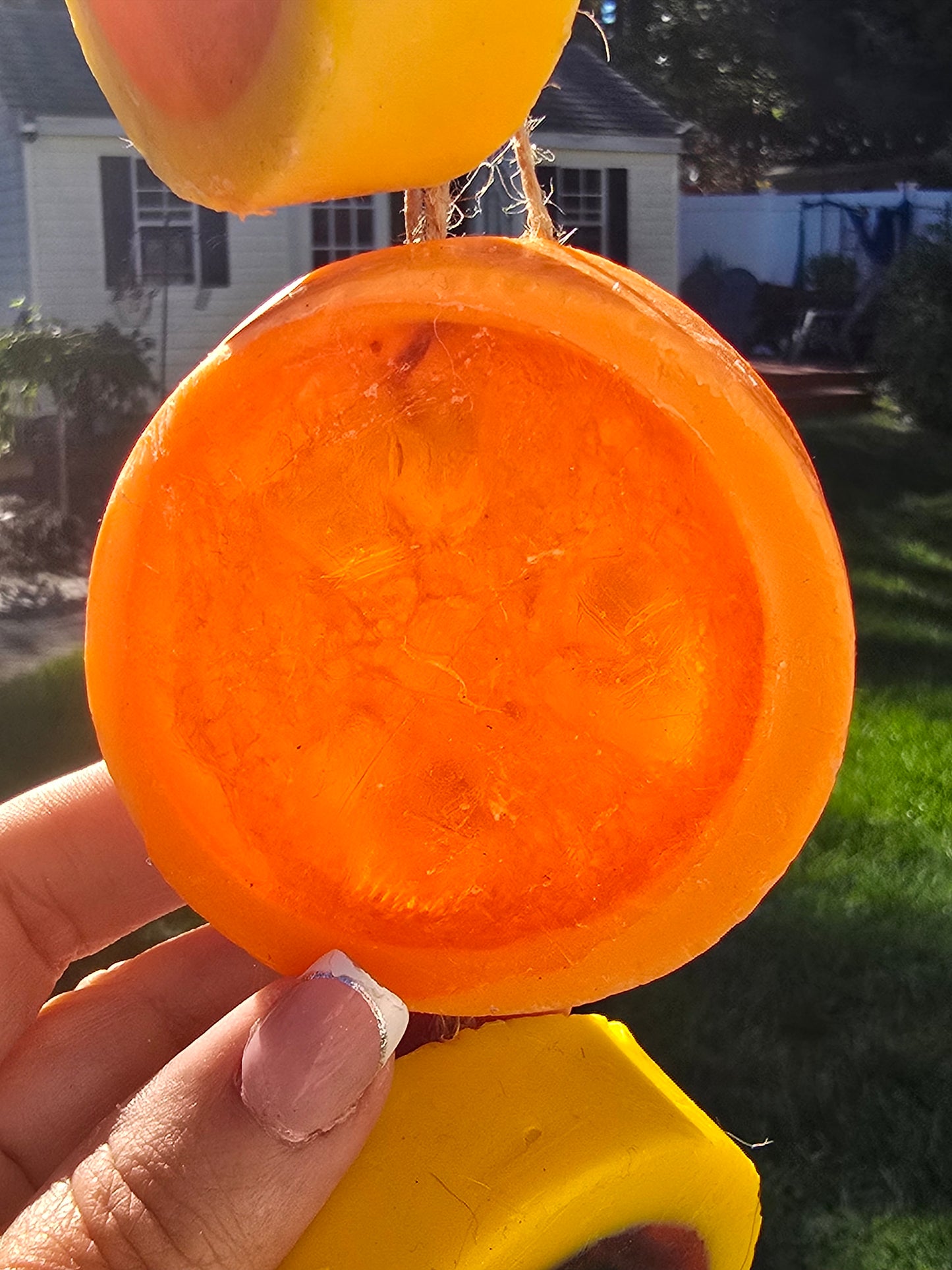 Exfoliating Loofah Soap