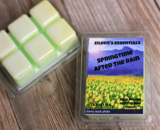 SPRINGTIME - AFTER THE RAIN (wood, fresh grass & wildflowers) Wax Melts