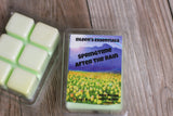 SPRINGTIME - AFTER THE RAIN (wood, fresh grass & wildflowers) Wax Melts