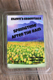 SPRINGTIME - AFTER THE RAIN (wood, fresh grass & wildflowers) Wax Melts