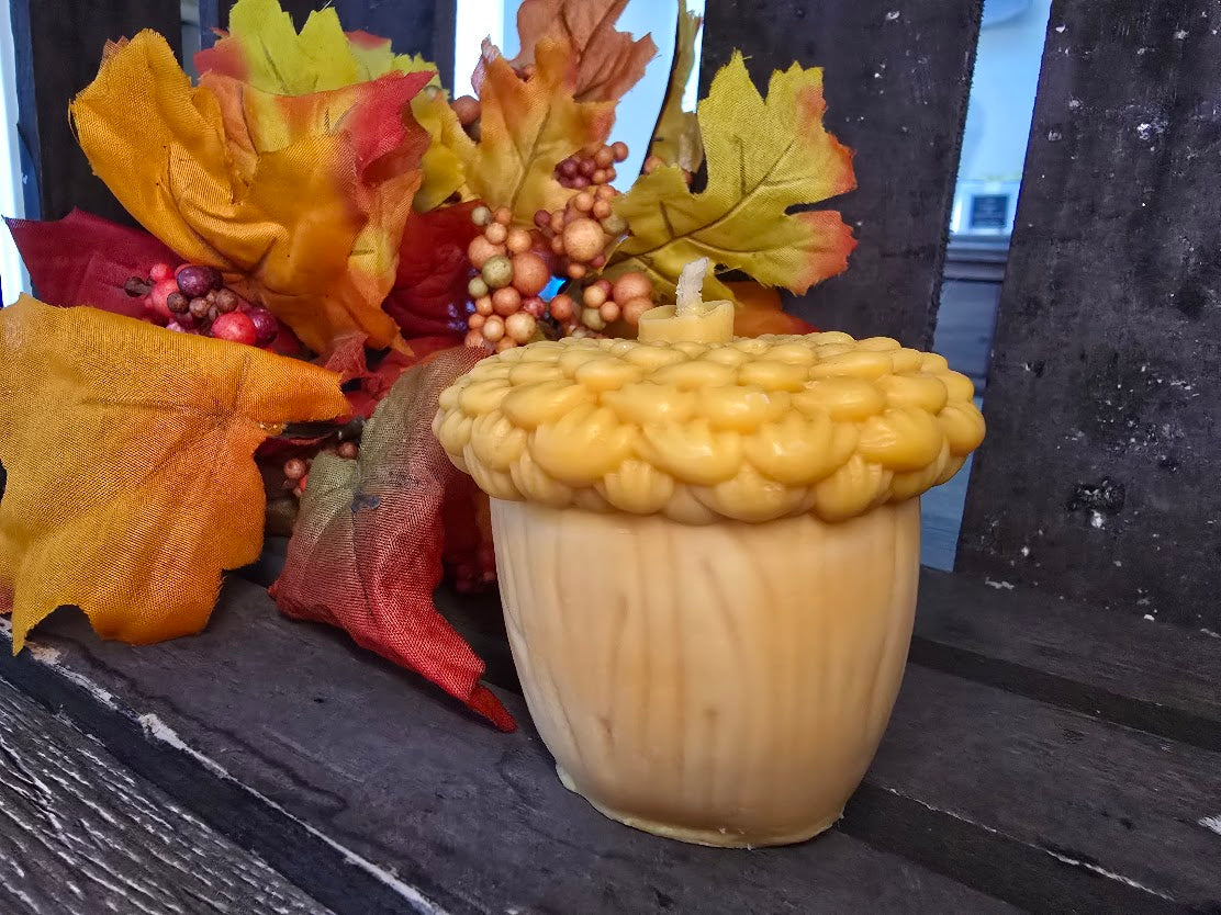 Squirrel and his Nut (Acorn/Pinecone) Candles