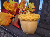 Squirrel and his Nut Candles