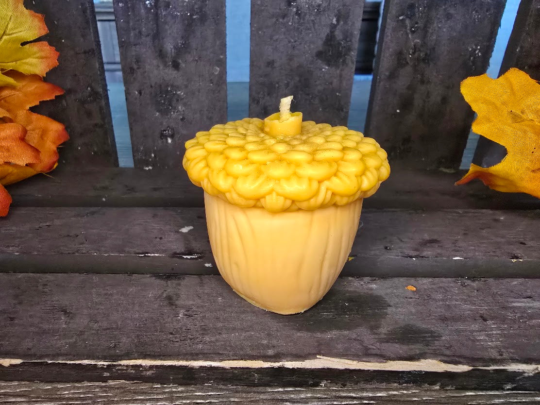 Squirrel and his Nut (Acorn/Pinecone) Candles