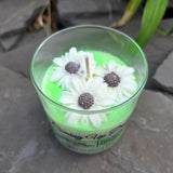 FLOWER CANDLES; Coming Up Daisies (Multiple Colors)