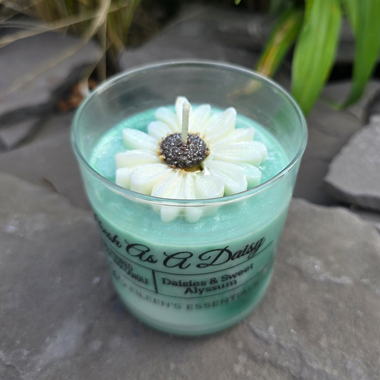 FLOWER CANDLES; Fresh As A Daisy (Multiple Colors)