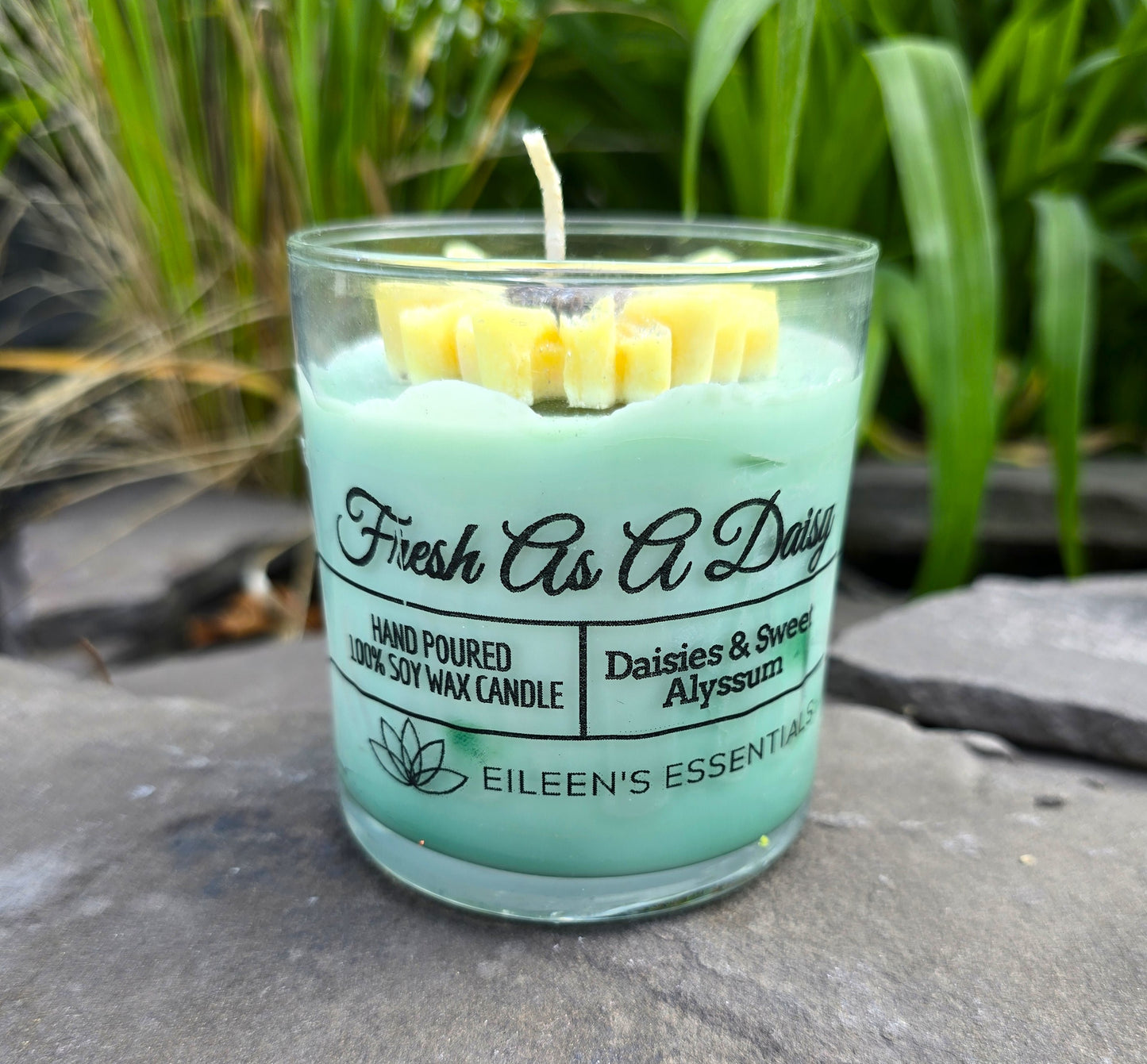 FLOWER CANDLES; Fresh As A Daisy (Multiple Colors)