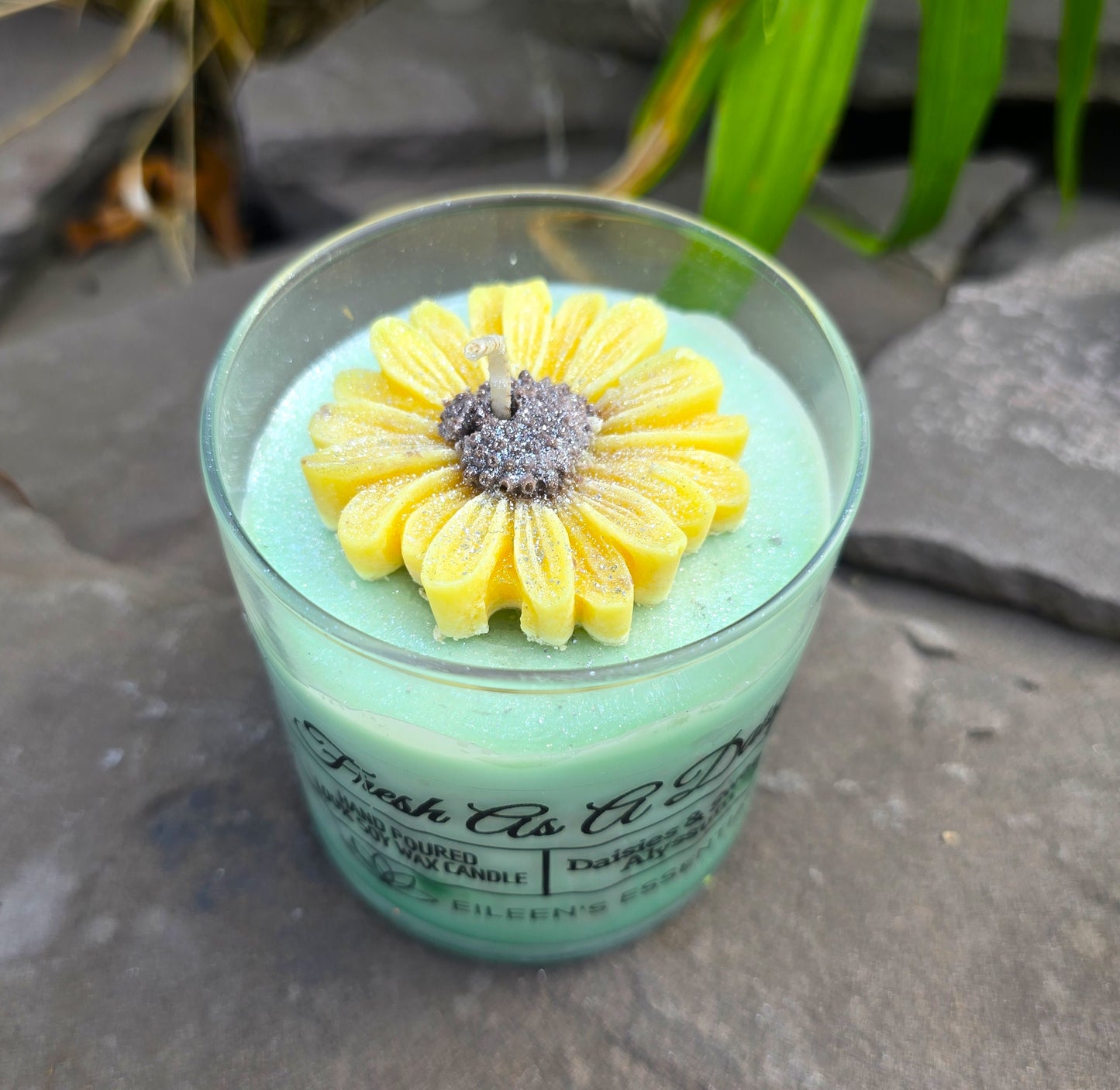 FLOWER CANDLES; Fresh As A Daisy (Multiple Colors)