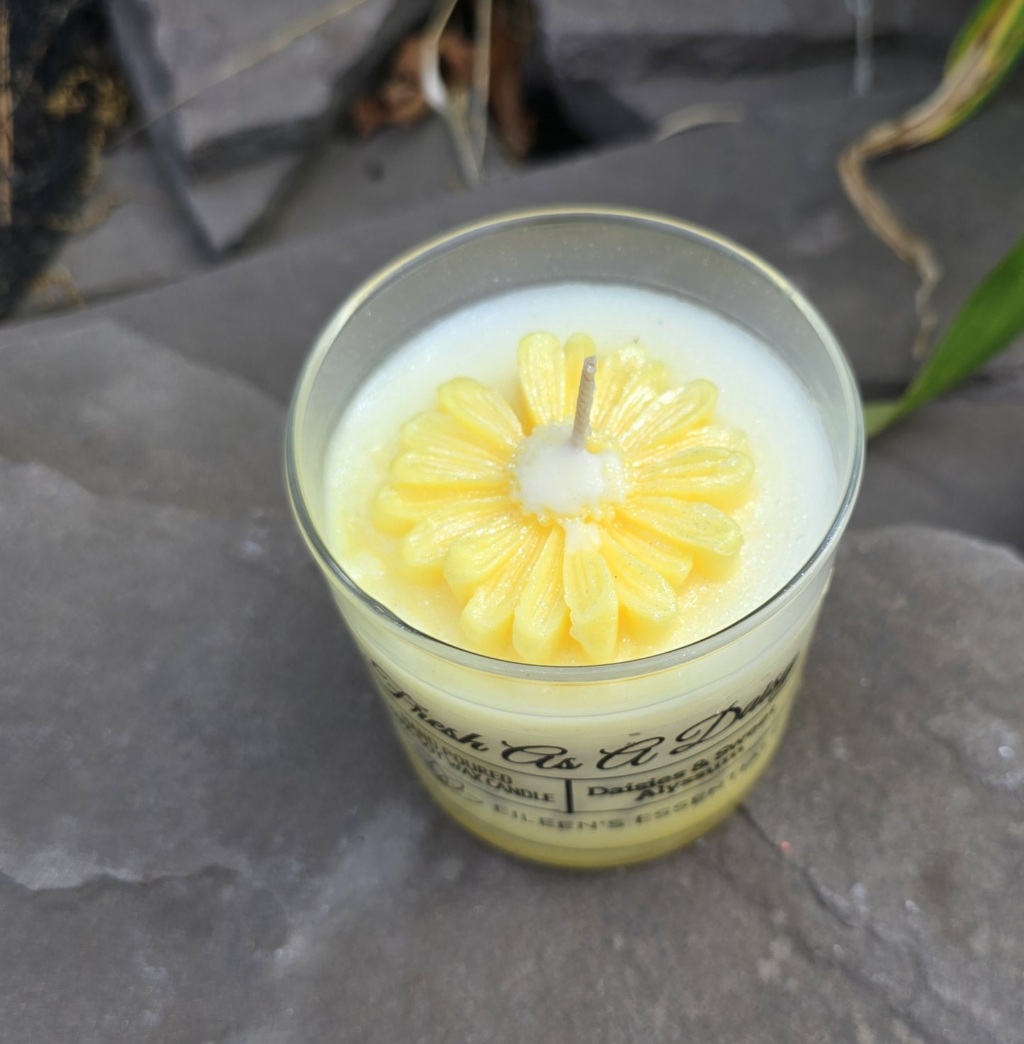 FLOWER CANDLES; Fresh As A Daisy (Multiple Colors)