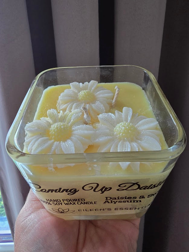 FLOWER CANDLES; Coming Up Daisies (Multiple Colors)
