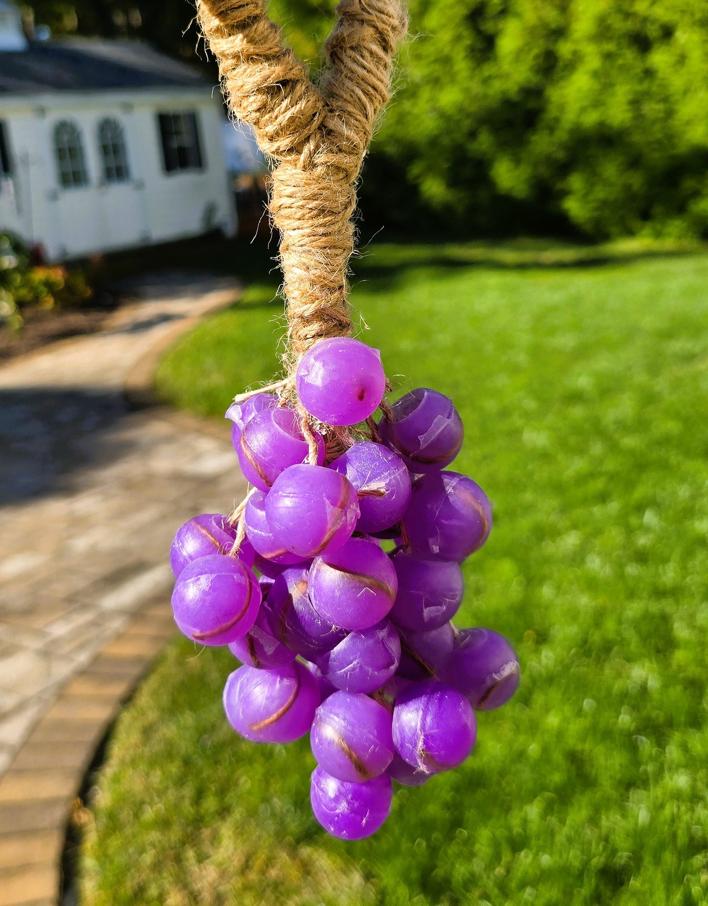 Grapevine Soap (Purple or Green)