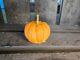 Mini Pumpkin Candles