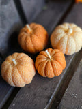 Mini Pumpkin Candles