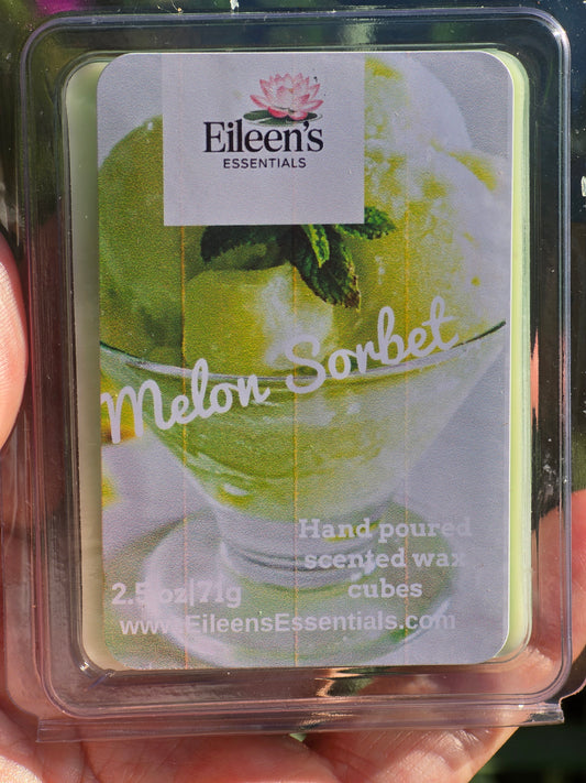 NEW Melon Sorbet Wax Melts