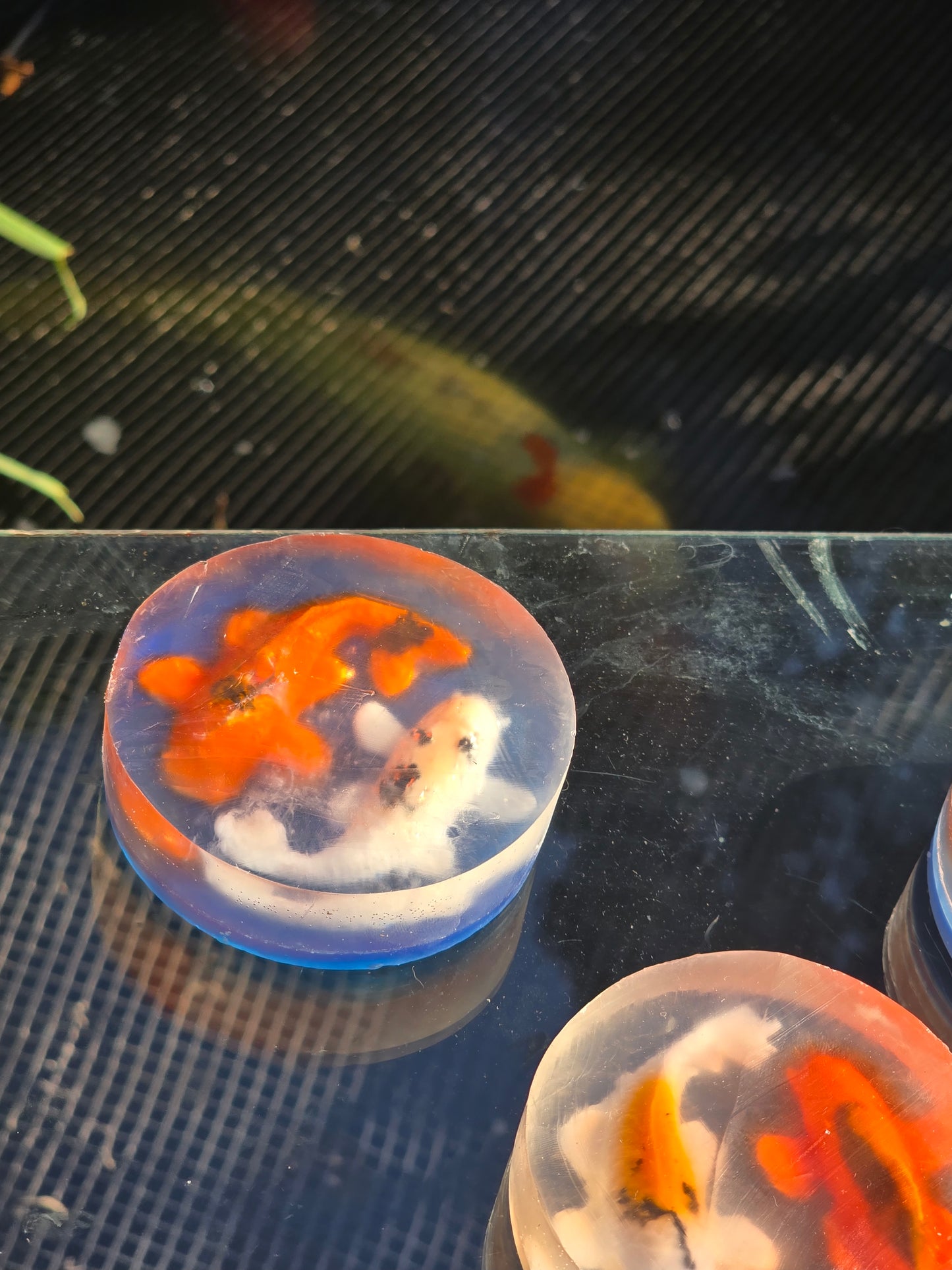 NEW Yin-Yan Koi Fish Soap