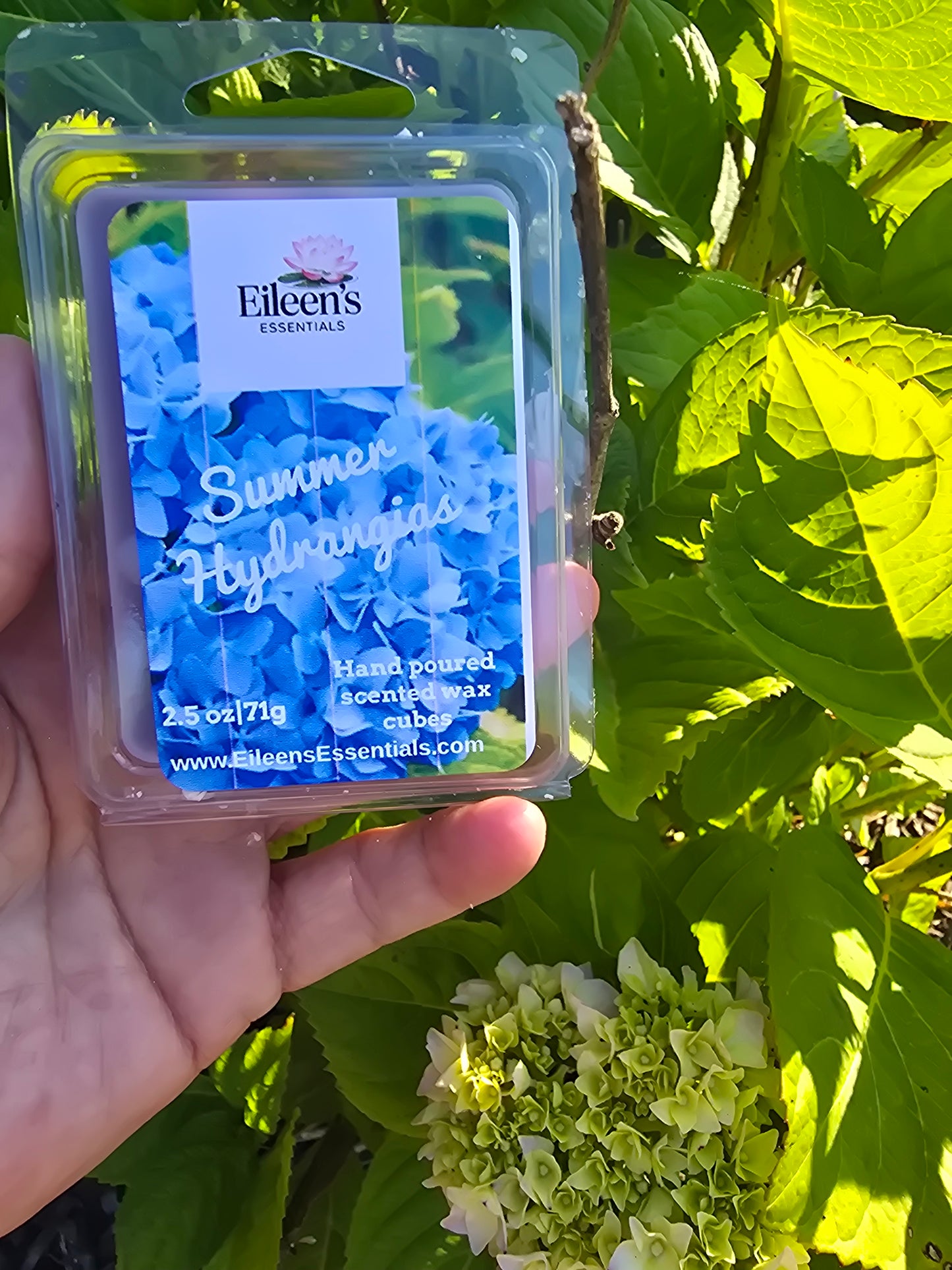 NEW Summer Hydrangeas Wax Melts