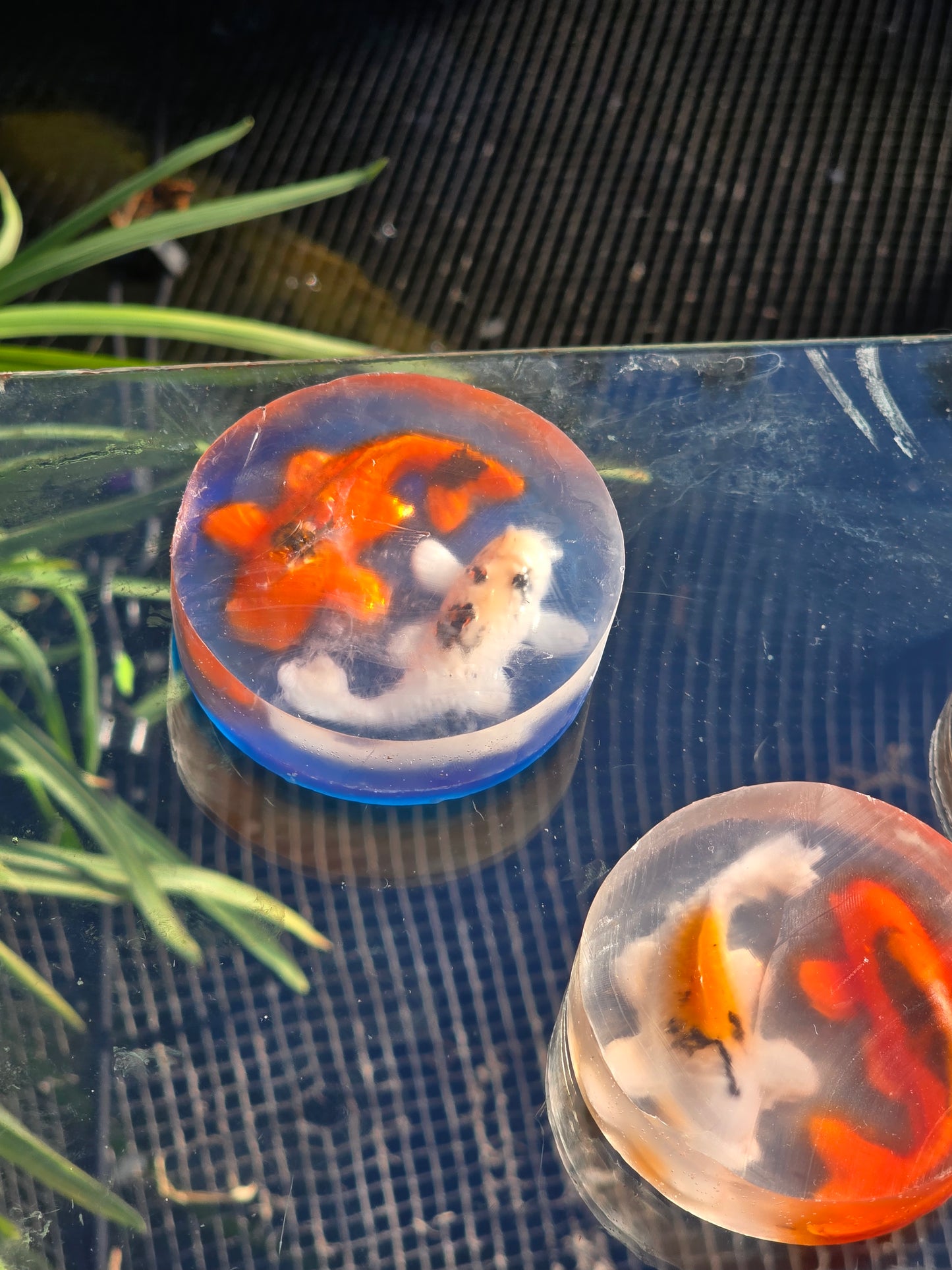 NEW Yin-Yan Koi Fish Soap