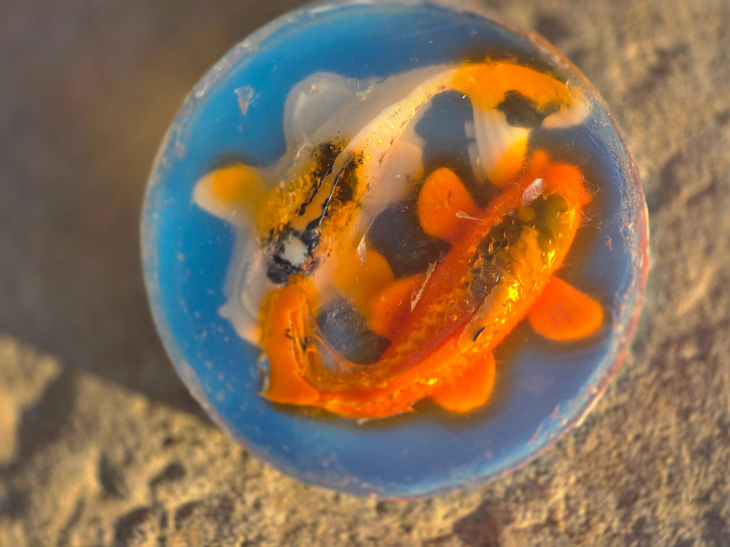 NEW Yin-Yan Koi Fish Soap