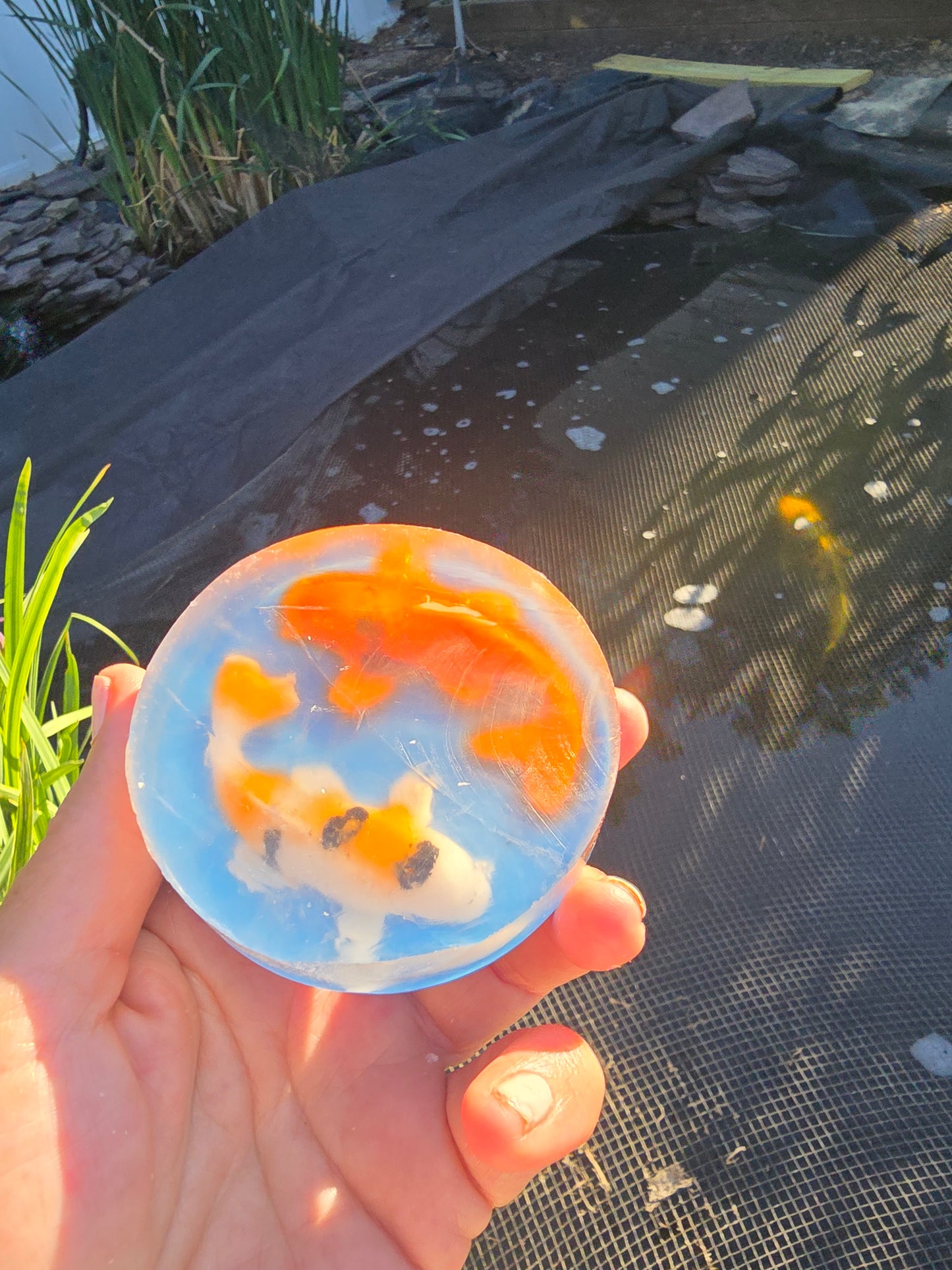 NEW Yin-Yan Koi Fish Soap