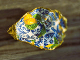Oyster Shell Trinket Dish
