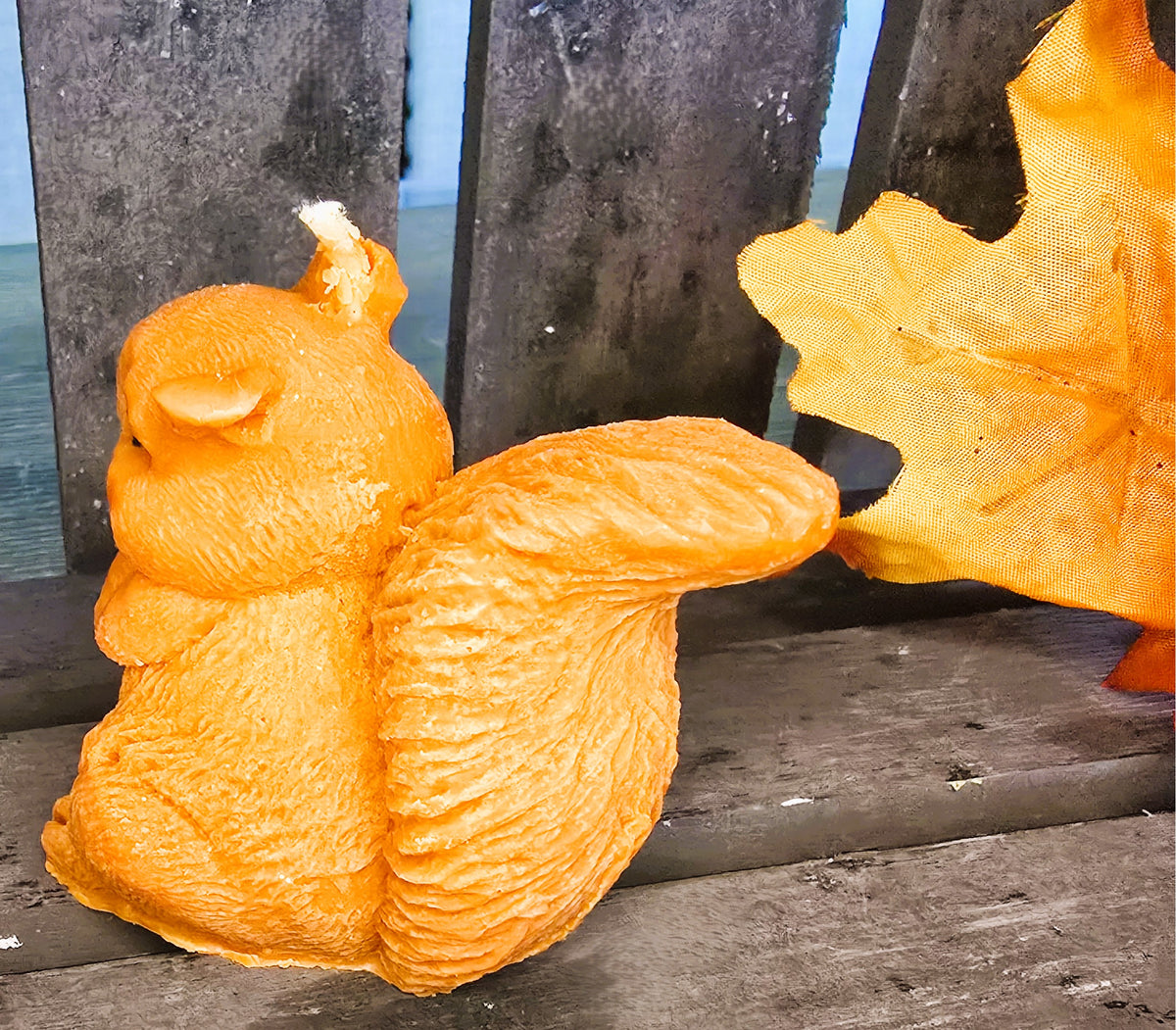 Squirrel and his Nut (Acorn/Pinecone) Candles