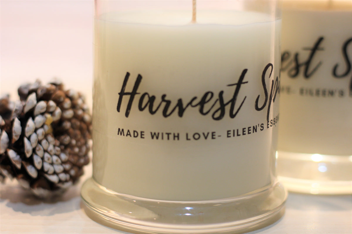 Harvest Spice Soy-Coconut Candle