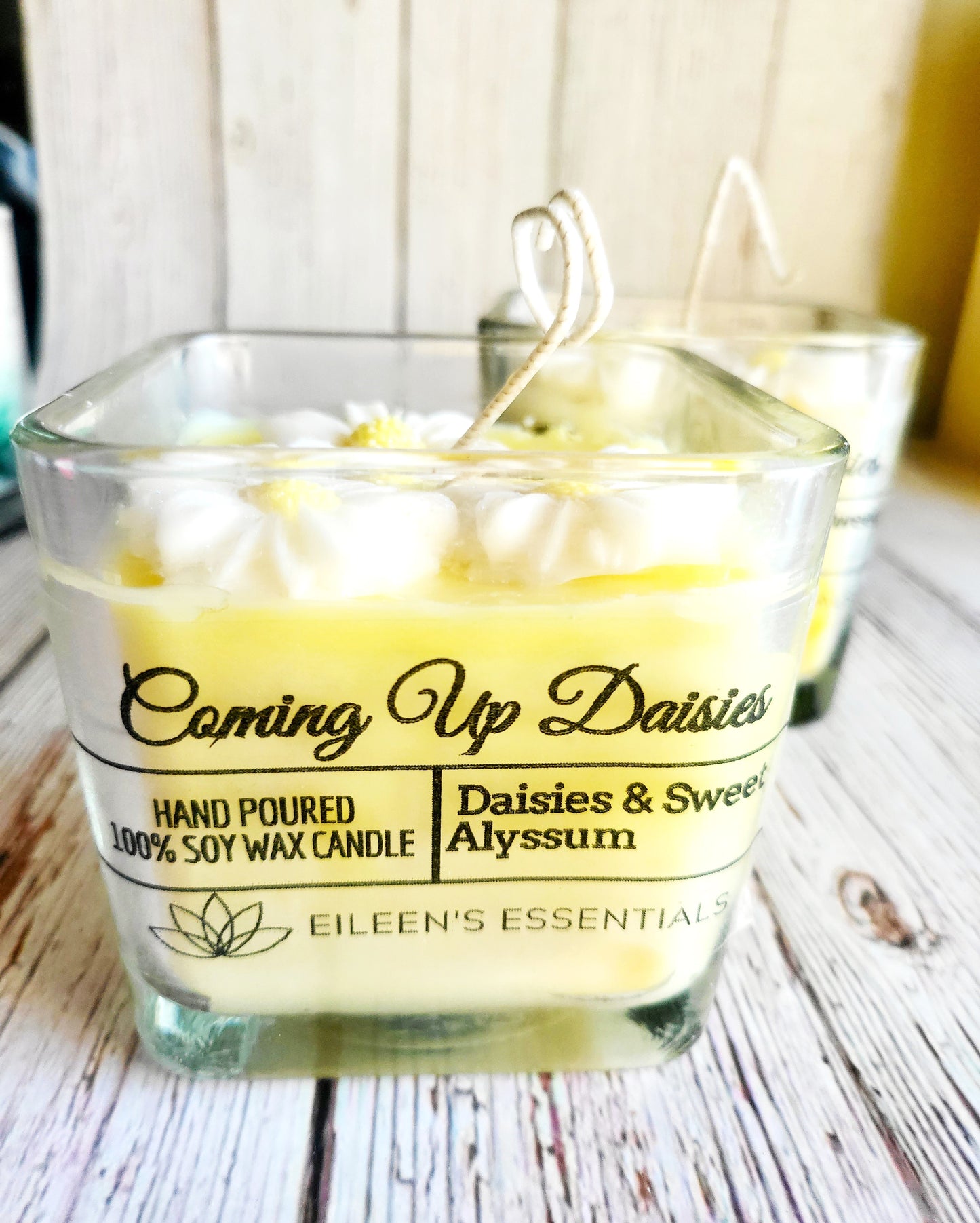 FLOWER CANDLES; Coming Up Daisies (Multiple Colors)