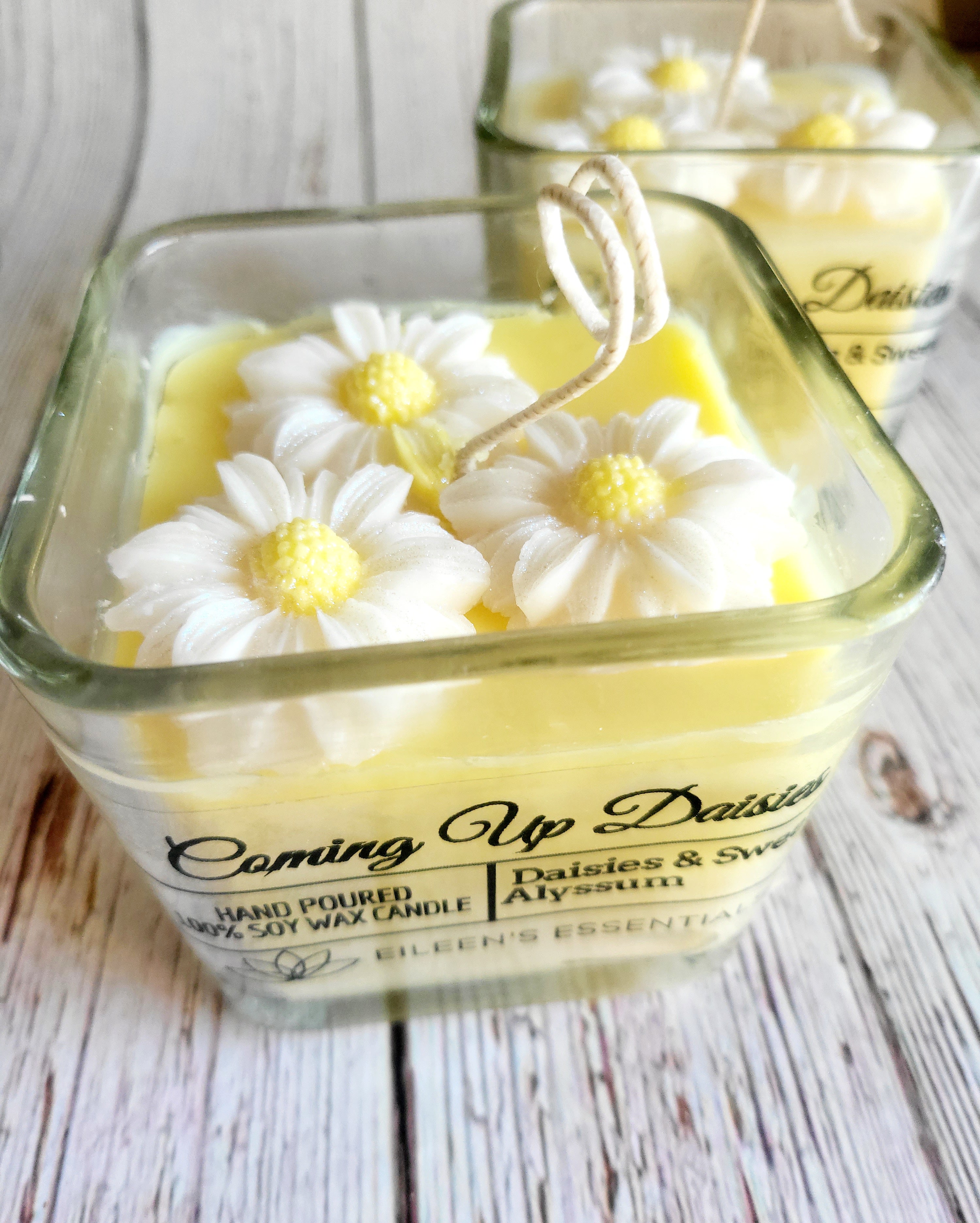 FLOWER CANDLE; Coming Up Daisies