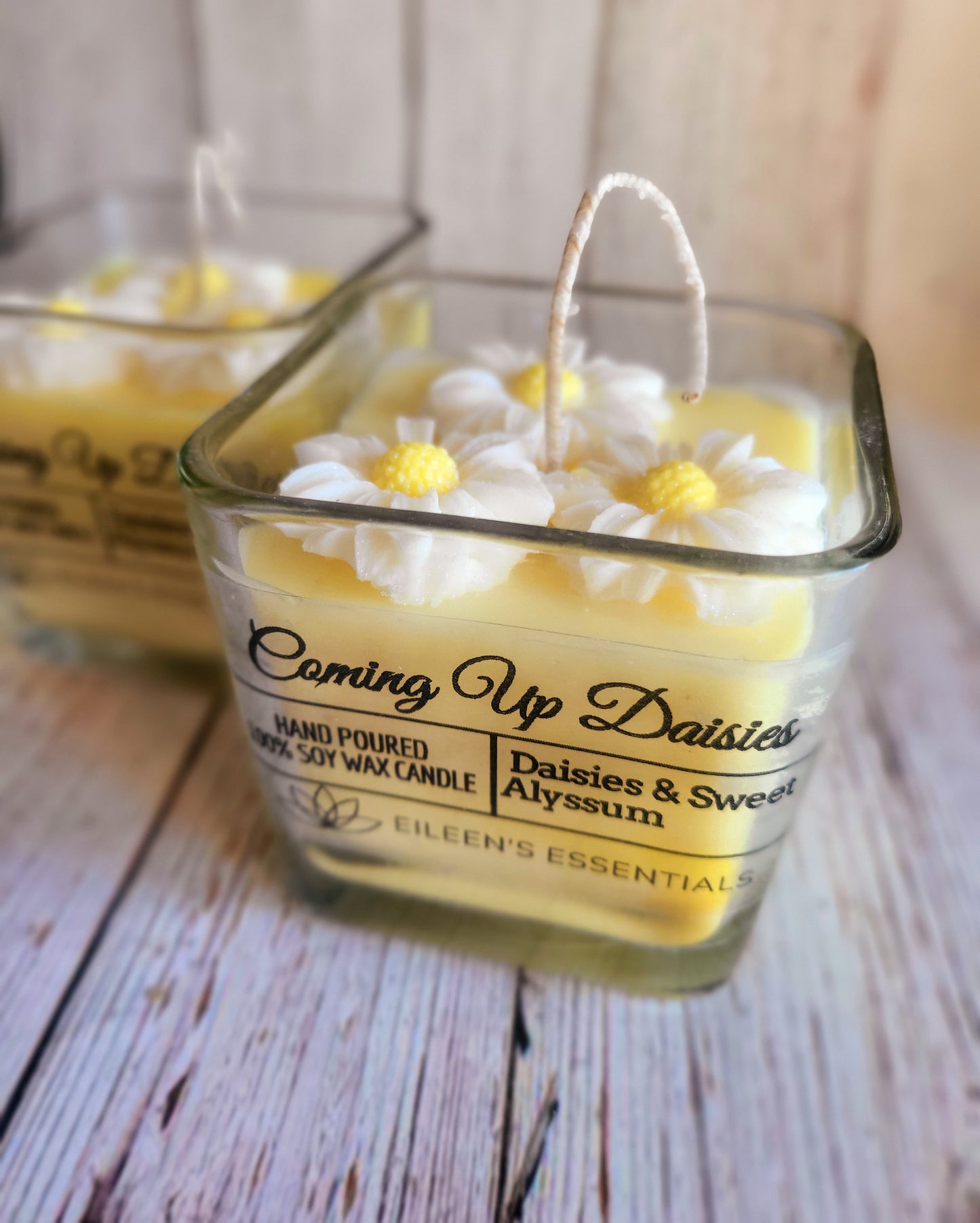 FLOWER CANDLES; Coming Up Daisies (Multiple Colors)